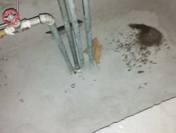 华亭卫生间测漏水价格明细