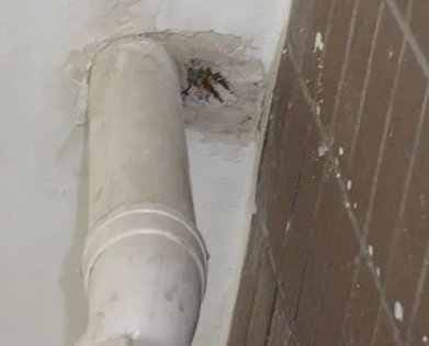 华亭漏水检测哪家好